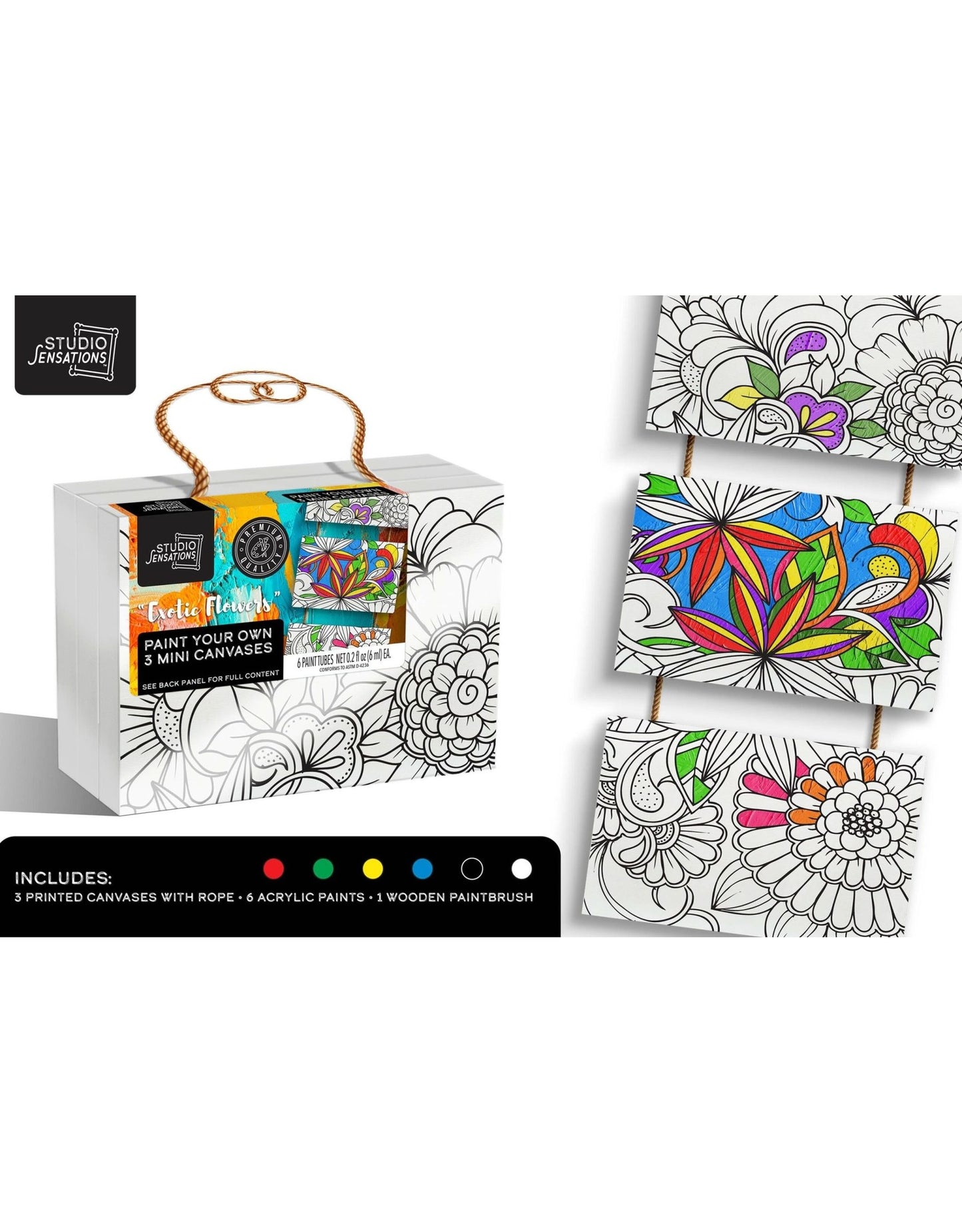 Paint Your Own 3 Mini-Canvas Kit: Exotic Flowers