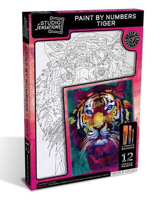 Studio Sensations Paint By The Numbers Tiger
