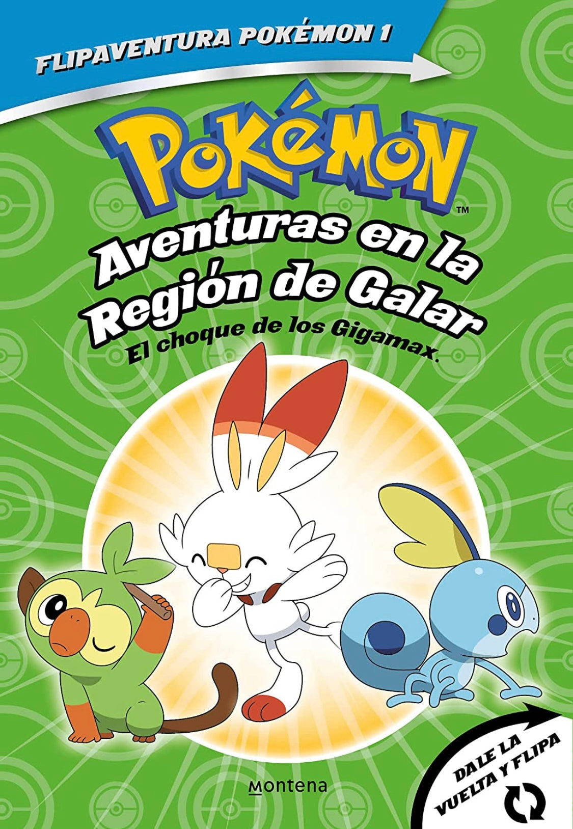 Pokemon Aventuras en la Región de Galar
