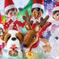 The Elf on the Shelf Friends Fur-Ever