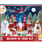 The Elf on the Shelf Believe in Your Elf Puzzle