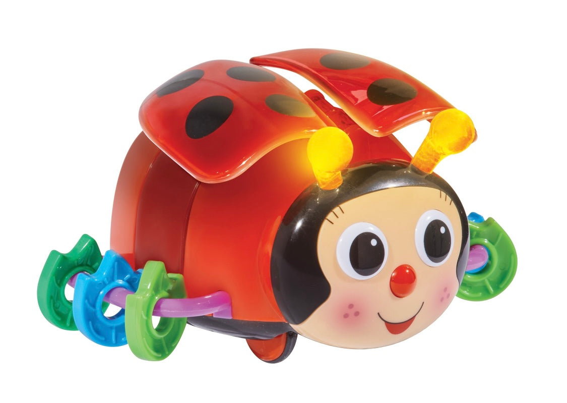 The Learning Journey Crawl About Ladybug